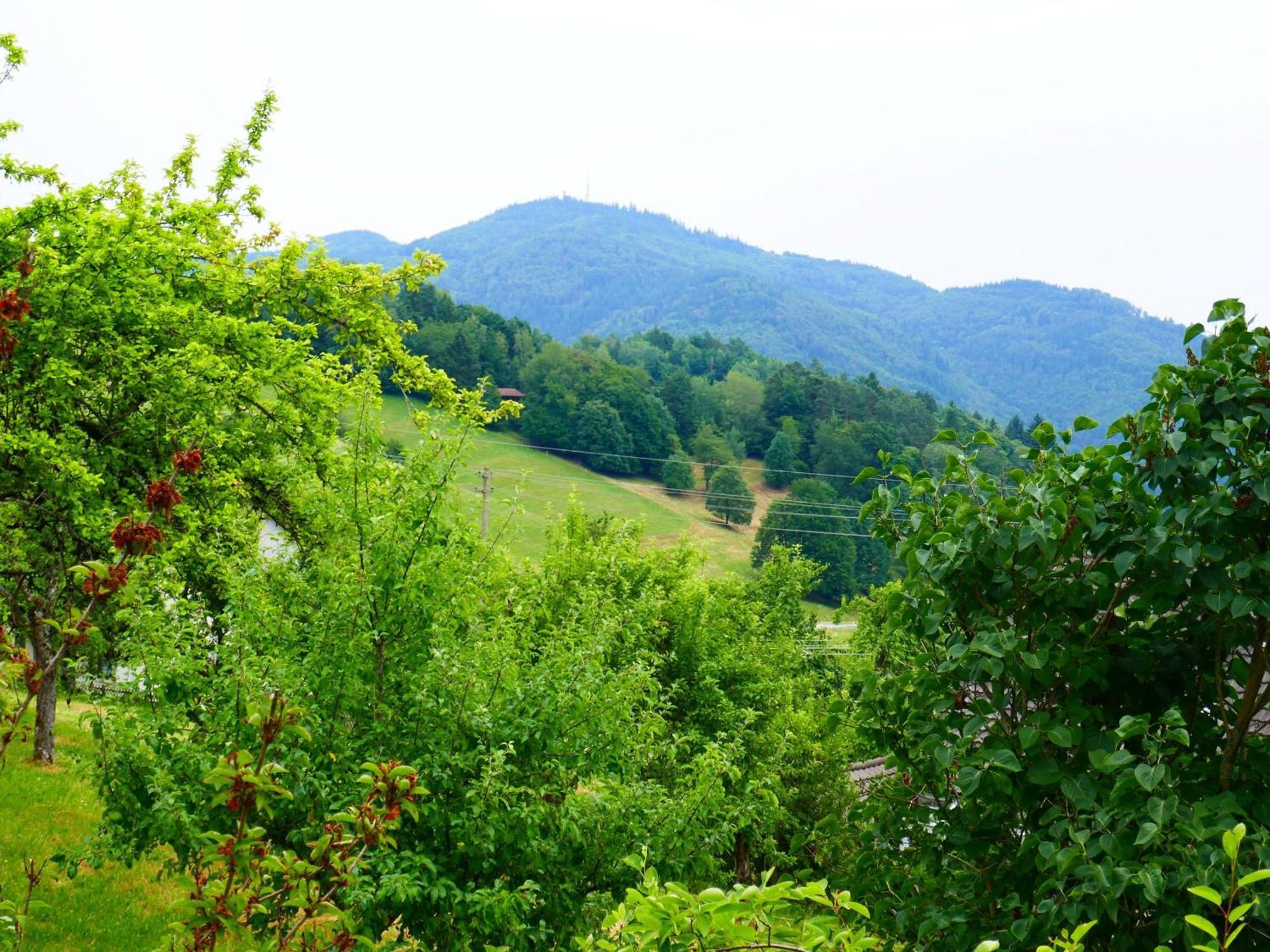 Haus Landblick * Zell im Wiesenthal