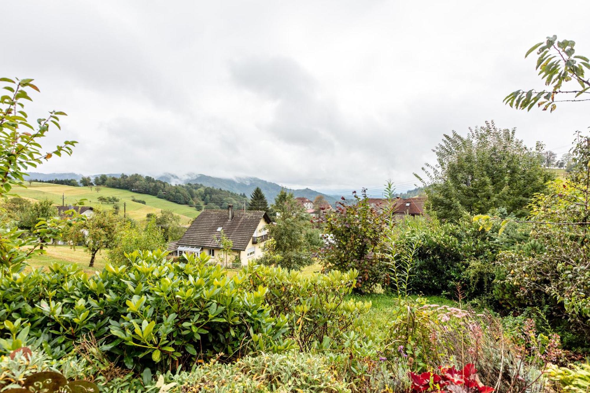Haus Landblick Apartment